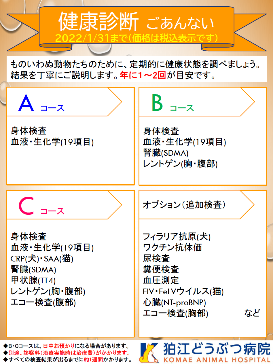 期間限定キャンペーン